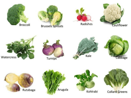 Broccoli & FODMAPs: A Dietitian's Guide to Green Giants - Spoonful Blog